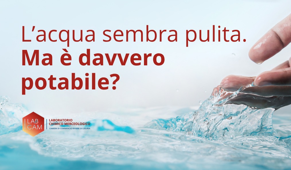 Acqua del pozzo: sei sicuro di sapere cosa stai bevendo?