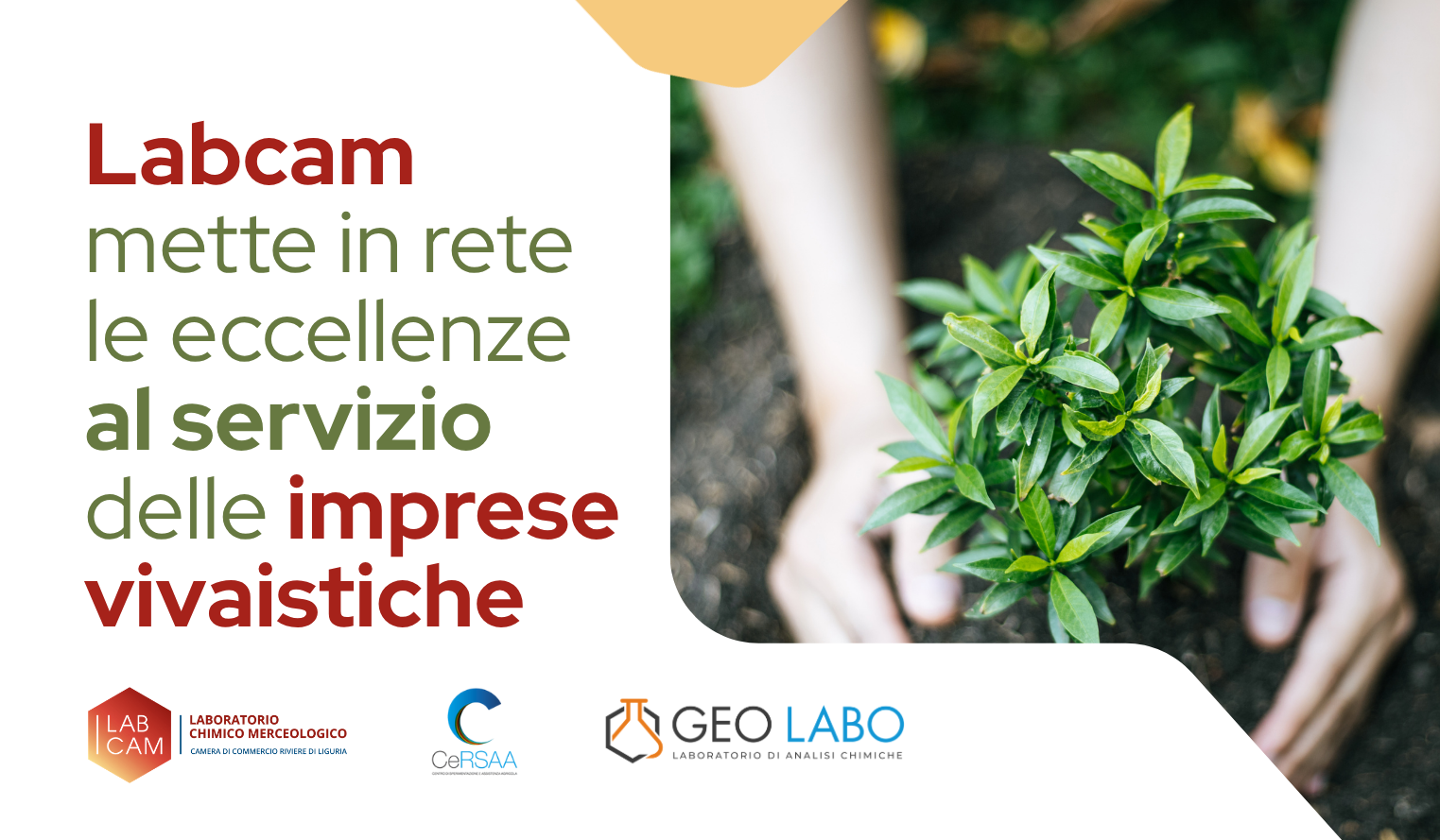 Labcam mette in rete le eccellenze al servizio delle imprese vivaistiche