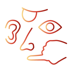 icona centro sensoriale